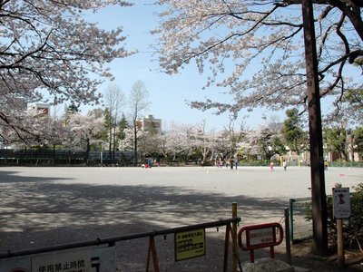 🌳 마바시 공원 (마바시코엔) 이미지 2